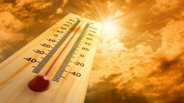 Emergenza caldo a San Benedetto del Tronto, apre il Centro Disco Verde presso il ''Primavera''