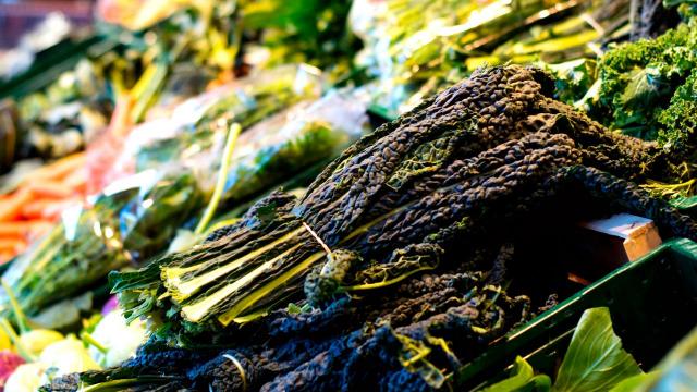 Regione Marche: aperto bando per la lotta contro lo spreco alimentare 