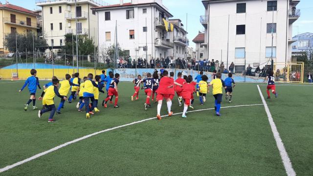 Offida United, riconoscimento di Scuola Calcio dopo due anni di attività