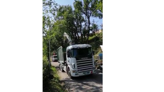 Grottammare, crolla un albero lungo la Provinciale Cuprense: viabilità interrotta per ripristinare la sicurezza