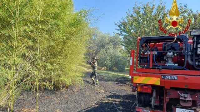 Estate rovente, l'appello dei Vigili del Fuoco delle Marche sul pericolo degli incendi boschivi