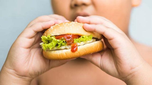 Coldiretti Marche, in 10 anni 9mila obesi in più: sempre più necessario investire in educazione alimentare