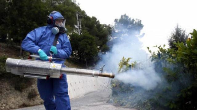 Ascoli Piceno, in programma nuovi interventi di disinfestazione nel territorio comunale