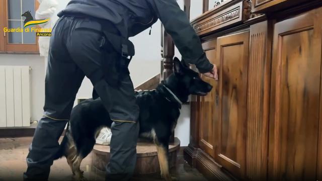 Guardia Finanza Ancona: frode fiscale internazionale e riciclaggio. Smantellata banca clandestina cinese 
