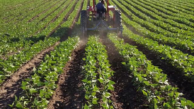 Coldiretti Marche, agricoltori custodi contro lo spopolamento del territorio: ''Persi 15mila ettari di terreni''