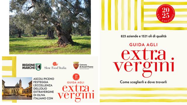 La Guida agli Extravergini di Slow Food Italia compie 25 anni e debutta il 12 Aprile ad Ascoli Piceno 