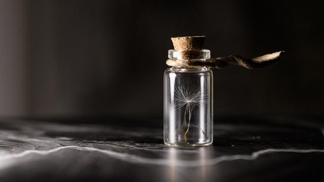 Hashish legale: caratteristiche ed effetti