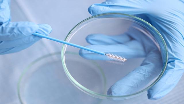 Screening cervice uterina: porte aperte nei consultori dell'Ast Ascoli Piceno 