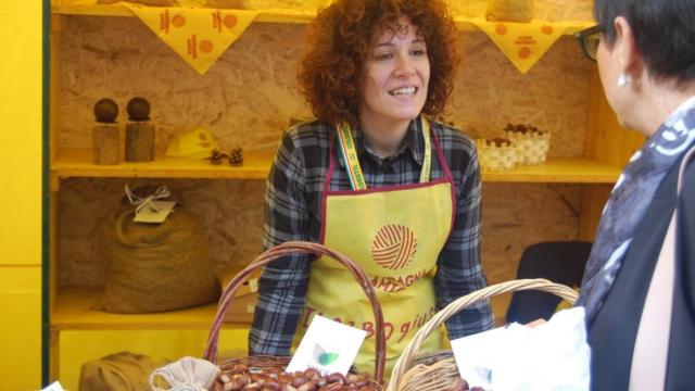 Coldiretti Ascoli-Fermo, appello alla Regione: “Aree boschive e montane, serve un sostegno per castagne e marroni”