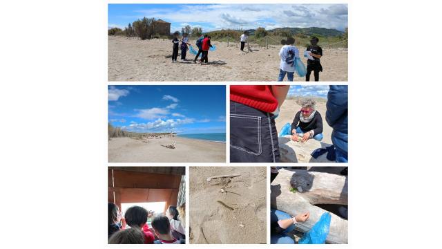 Lezioni di biologia marina e visita alla Riserva Sentina con le prime medie di Grottammare