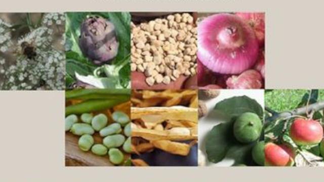 Castignano, incontro ''Presìdi Slow Food e le Biodiversità delle Marche, alla prova del cambiamento climatico''