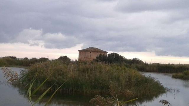 Riserva Naturale Sentina: Regione Marche approva le misure di conservazione del sito Natura 2000