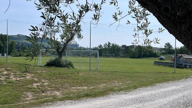 Ascoli Calcio, allenamento domenicale in vista della Feralpisalò. Rifinitura pomeridiana a porte chiuse