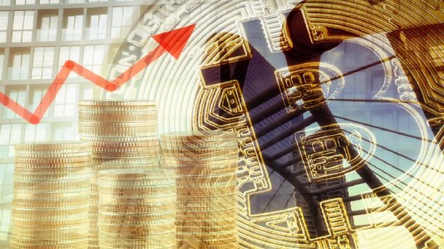 Cosa bisogna sapere prima di usare Bitcoin Evolution