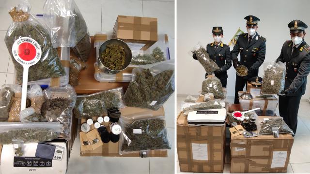 Guardia di Finanza, oltre 31 chili di marijuana sequestrati tra Porto Sant’Elpidio e Civitanova
