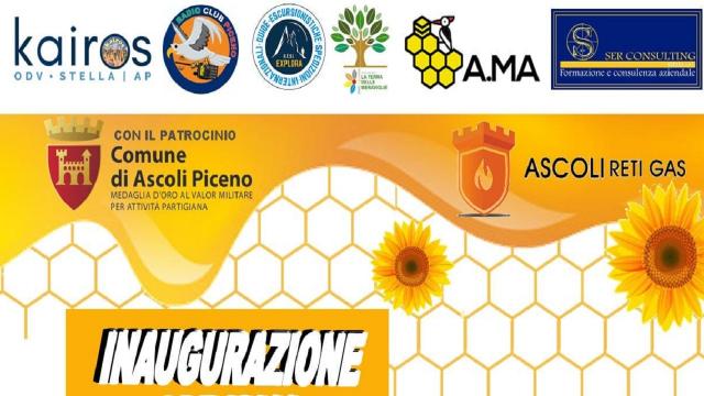 ''Api Gold Picene'', ad Ascoli il progetto pilota per la difesa della biodiversità