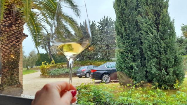 'Dalla Vigna alla Tavola - Le Marche a sorsi', prossimo appuntamento a Grottammare