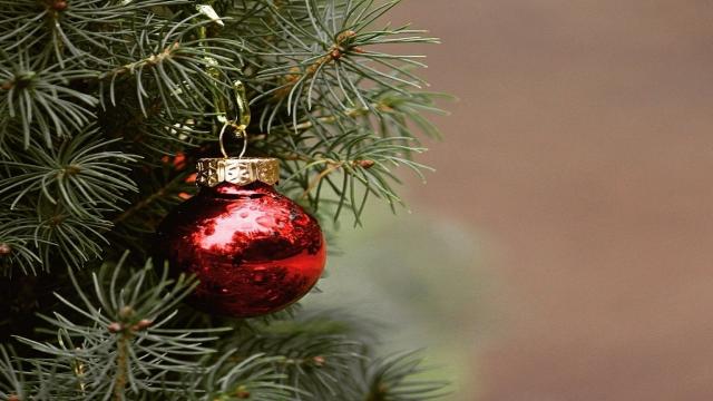 Ascoli Piceno, parte la campagna ''Buoni di Natale''