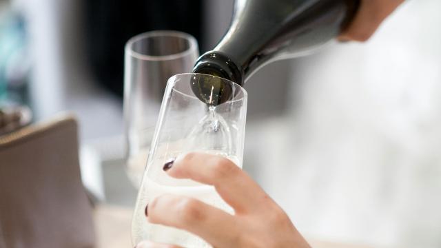 Prowein 2025, le Marche del vino alla fiera di Düsseldorf. Antonini: “Si attendono segnali di ripresa per il settore”