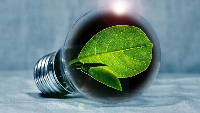 Sisma 2016: 68 milioni del Pnc per 25 comunità energetiche rinnovabili. Soluzione ponte verso nuovo codice appalti 