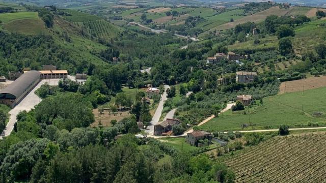 Regione Marche, bandi da 6,5 milioni di euro per Comuni e Province da destinare al miglioramento della rete stradale 