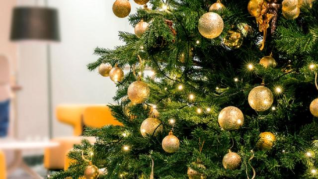 Immacolata Concezione: alberi veri in 3,5 milioni di case con una spesa media di 38 euro