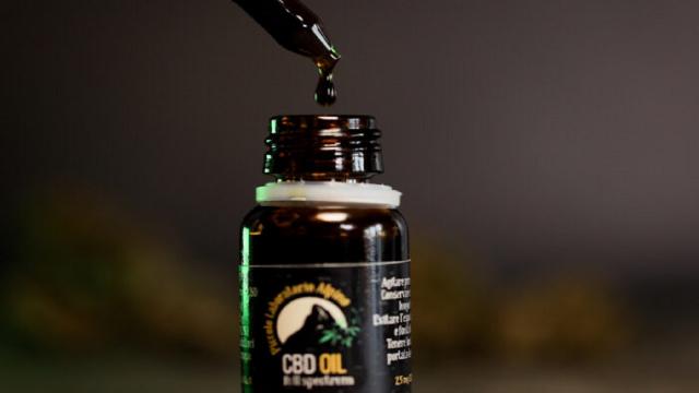 Quali sono le caratteristiche dell’olio di Cbd