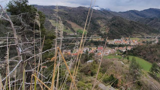 Ascoli, segnalazioni sulla presenza di un grosso felino. Attivate le ricerche del Servizio Sanità Animale dell'Ast