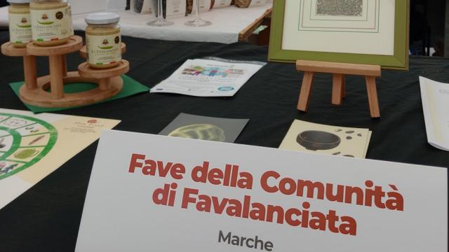 Fave della Comunità Slow Food di Favalanciata protagoniste allo 'Slow Beans' a Lucca