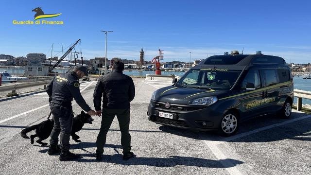 Guardia di Finanza Macerata: blitz antidroga in un bar con sequestro di eroina, cocaina ed hashish