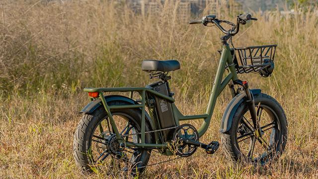 Qual è La Migliore Bicicletta Elettrica Fat