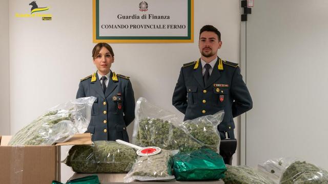 Guardia Finanza Fermo: traffico di sostanze stupefacenti. Sequestrati 52 kg di infiorescenze di marijuana