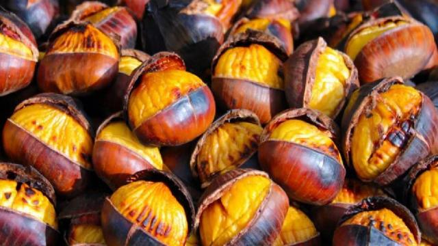 Castagne, parte in ritardo la raccolta. Cia Ascoli-Fermo-Macerata: ''Buona la qualità''  