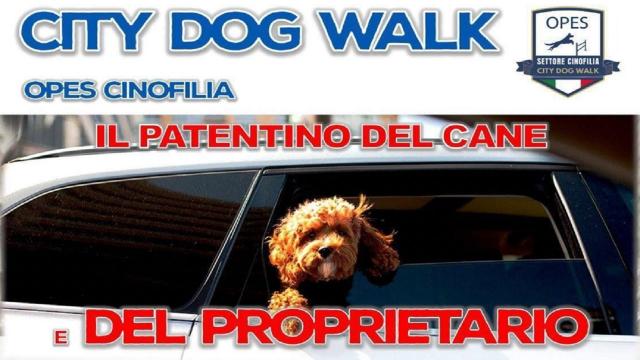 San Benedetto del Tronto, incontro formativo per illustrare nuove normative ai proprietari di cani