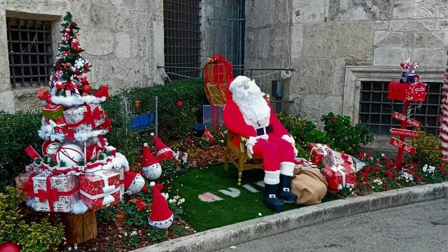 Ascoli Piceno, l'aiuola adottata dall'Avis si illumina per il Natale. Le iniziative dell'associazione per le festività