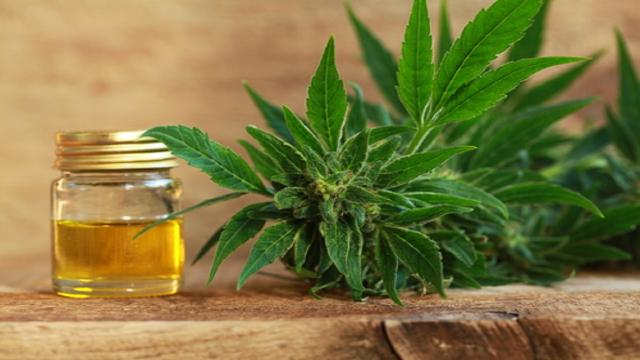 CBD: cos’è, effetti, si può usare o è illegale?