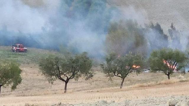 Appignano del Tronto, Vigili del Fuoco al lavoro per incendio di un campo agricolo