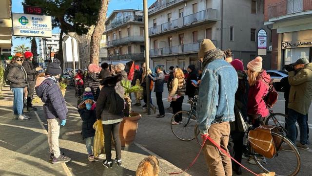 San Benedetto del Tronto, Questione Natura si mobilita e dice no all'abbattimento dei Pini di Via Mare