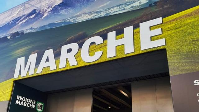 Le Marche al Vinitaly, Antonini: “Interesse crescente per i nostri vini”. Bruschini: “Grande immagine della Regione”