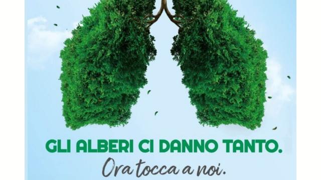'Un albero per il futuro': nel Bosco dell’Allegria di Grottammare messa a dimora delle prime 10 piante 