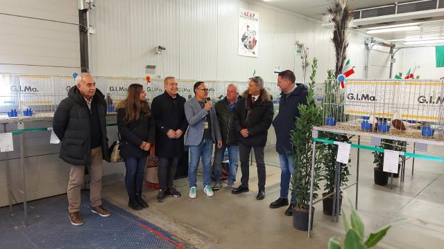 Monteprandone, 40 anni dell'Associazione Colombofila Allevatori Piceni 