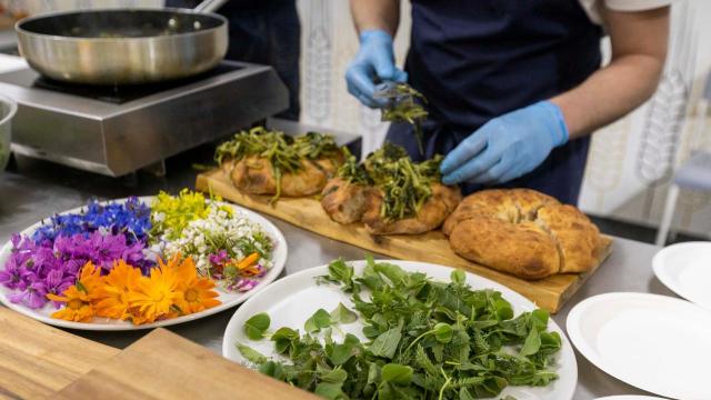 Tipicità Festival 2025, svelate le proposte dei quattro bistrot con un viaggio sensoriale unico