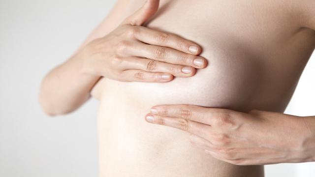Ascoli: associazione Hozho, sostegno alle donne colpite dal tumore al seno