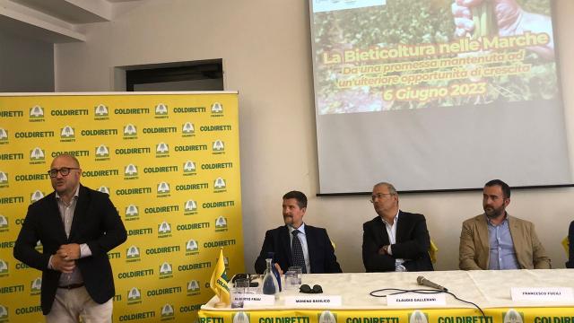 Coldiretti Marche: “Aziende potranno entrare nel Distretto dello Zucchero Italiano”. Obiettivo 1.700 ettari coltivati