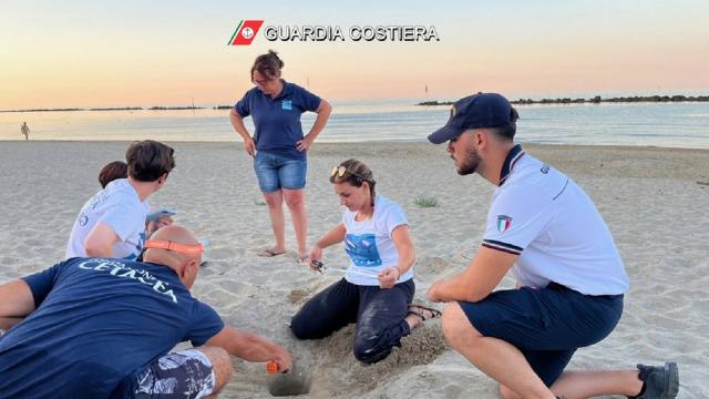 Nido di Caretta Caretta a Cupra Marittima. Dalla gioia iniziale alla triste scoperta durante la notte