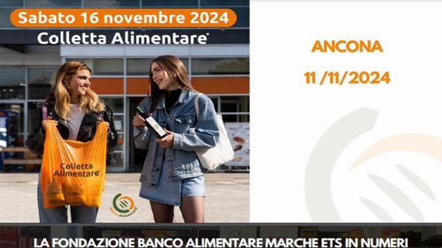 Regione Marche, presentata la ventottesima Giornata Nazionale della Colletta Alimentare