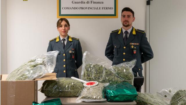 Guardia di Finanza Fermo, recuperati altri 180 kg di marijuana per un valore di oltre un milione di euro