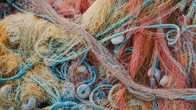 San Benedetto del Tronto, con Circolo dei Sambenedettesi 2° incontro per ricostruire le vicende della pesca oceanica