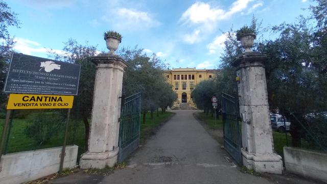 Ascoli Piceno, Istituto agrario 'Celso Ulpiani' conquista premio nella categoria 'Comunicazione e marketing' al Vinitaly