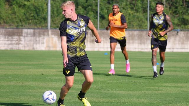 Verona-Ascoli, allenamento mattutino per entrambe le squadre a tre giorni dal match di Coppa Italia